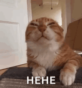 a cat is laying on a couch with its eyes closed and making a face .