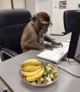 a monkey wearing glasses is typing on a laptop next to a plate of bananas .